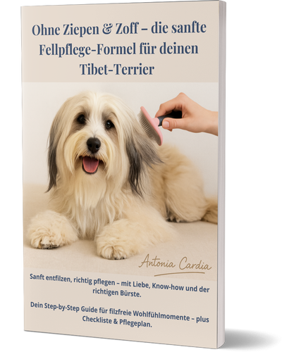 Tibet-Terrier Fellpflege-Guide