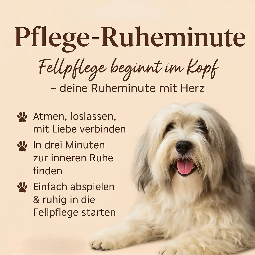 Pflege-Ruheminute – deine Ruheminute mit Herz